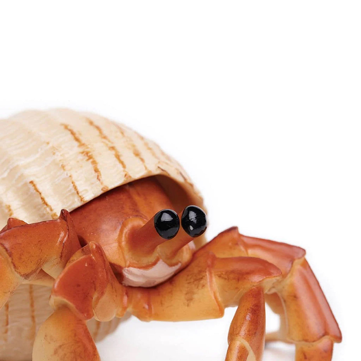 Safari Ltd Hermit Crab XL