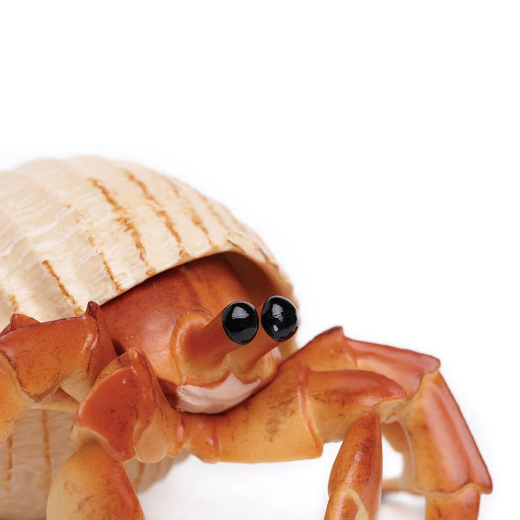 Safari Ltd Hermit Crab XL – Animal Kingdoms Toy Store