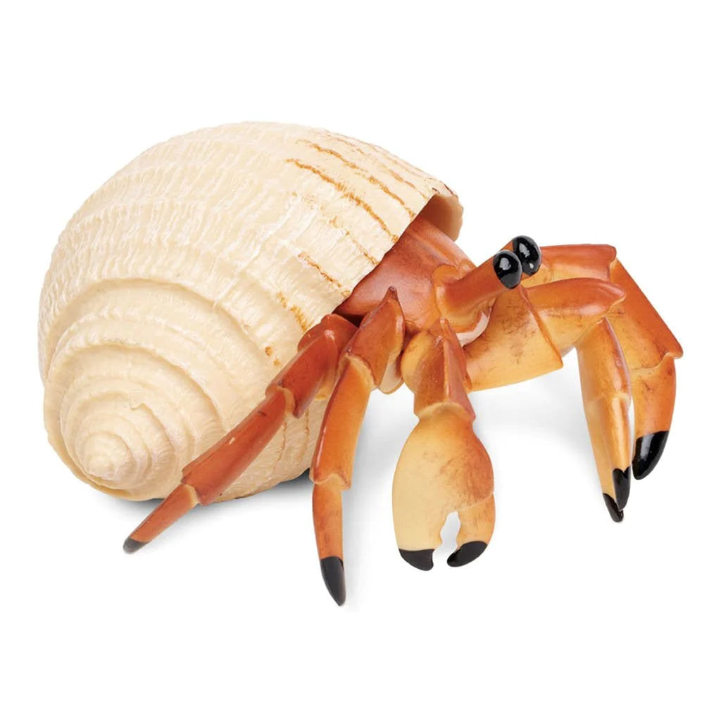 Safari Ltd Hermit Crab XL – Animal Kingdoms Toy Store