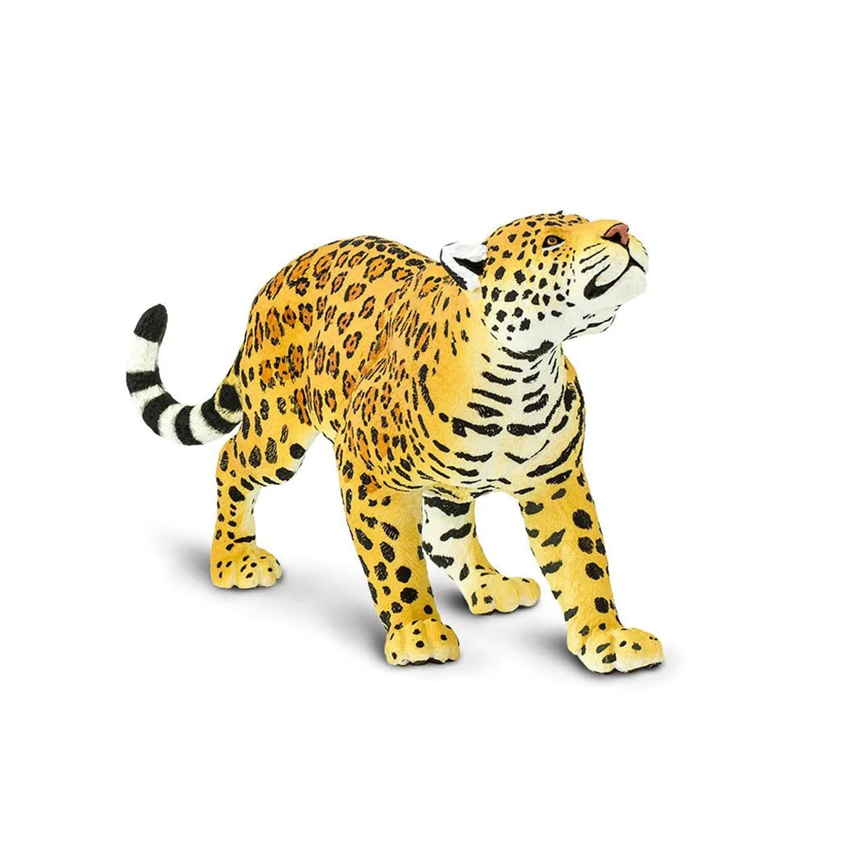 Safari Ltd Jaguar XL