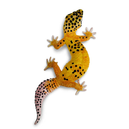 Safari Ltd Leopard Gecko XL