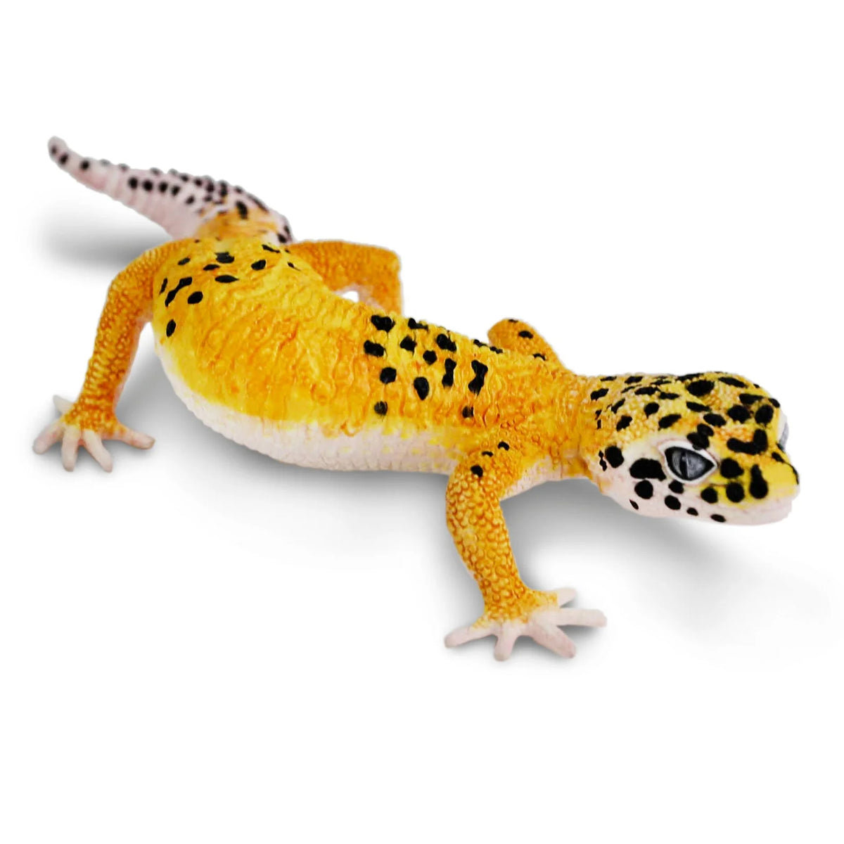 Safari Ltd Leopard Gecko XL