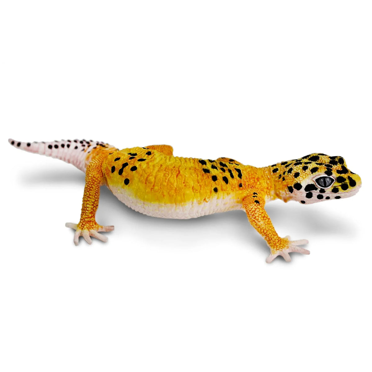 Safari Ltd Leopard Gecko XL