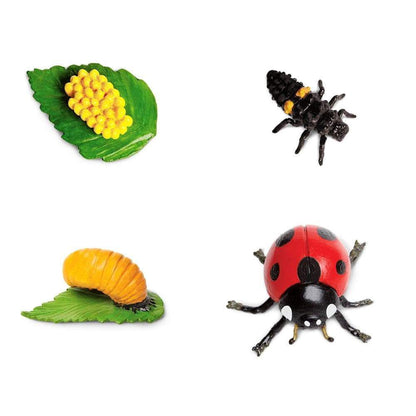 Safari Ltd Life Cycle Of A Ladybug