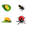 Safari Ltd Life Cycle Of A Ladybug