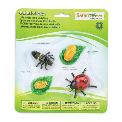 Safari Ltd Life Cycle Of A Ladybug