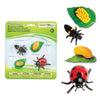 Safari Ltd Life Cycle Of A Ladybug