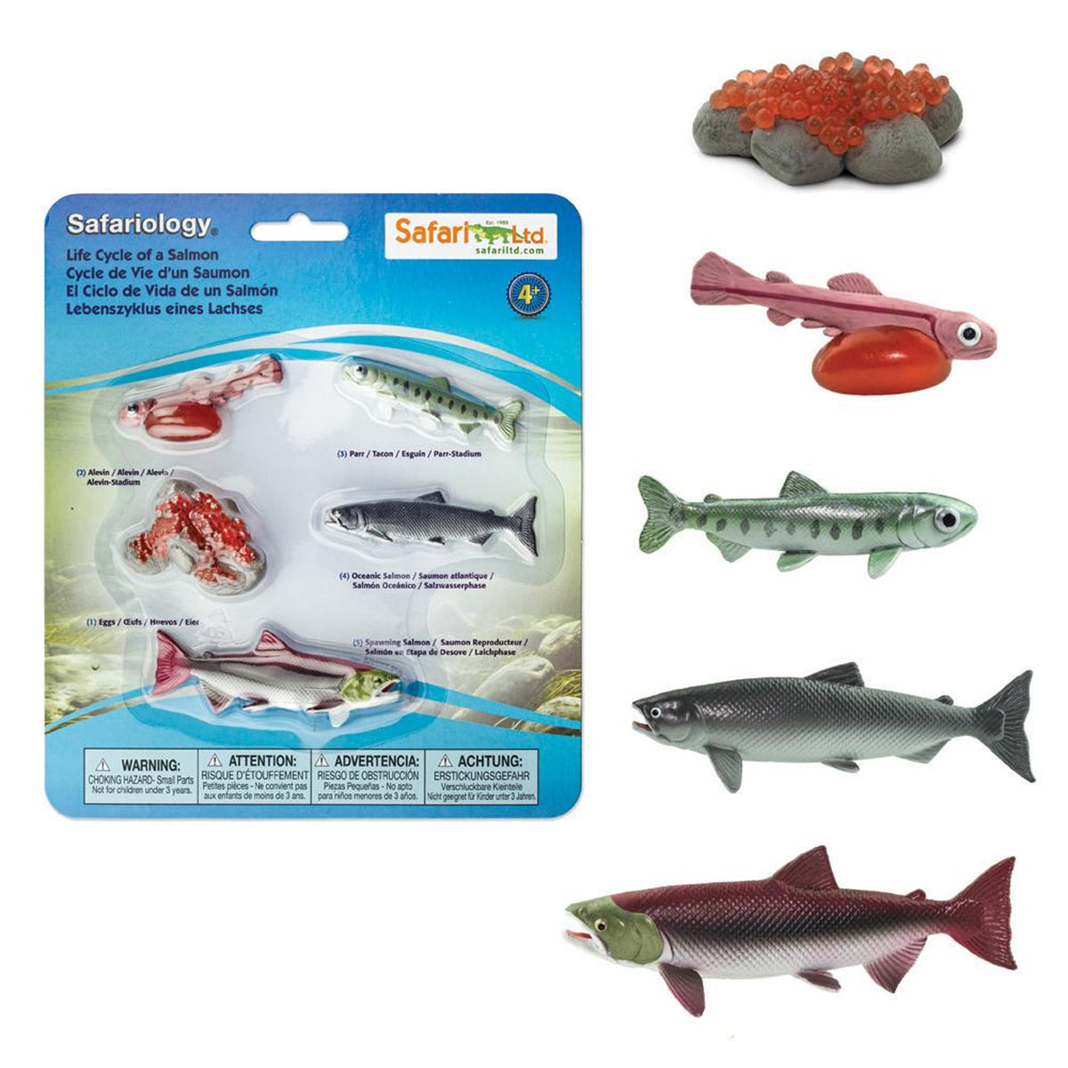 Safari Ltd Life Cycle Of A Salmon