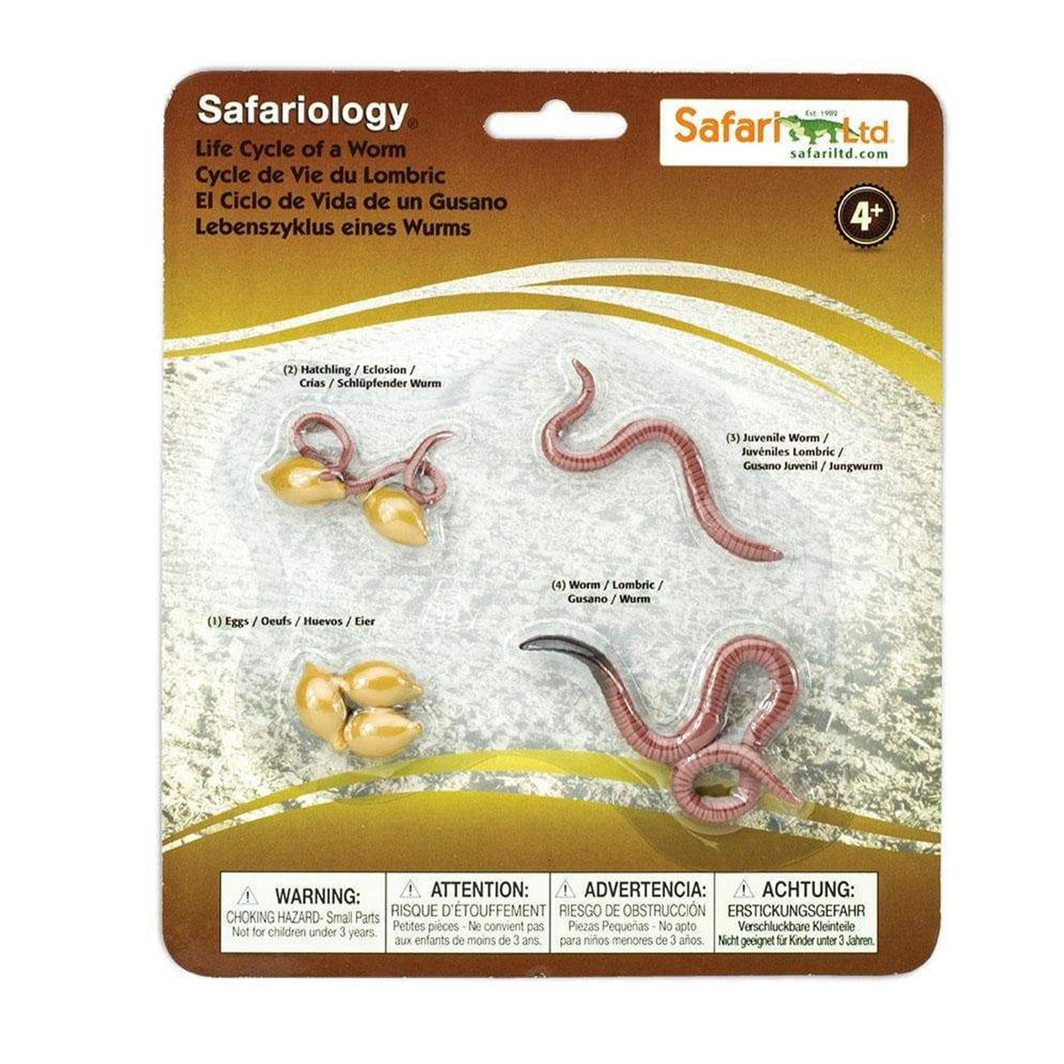 Safari Ltd Life Cycle Of A Worm