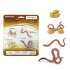 Safari Ltd Life Cycle Of A Worm