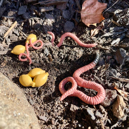 Safari Ltd Life Cycle Of A Worm