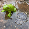 Safari Ltd Life Cycle of a Frog