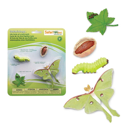 Safari Ltd Life Cycle of a Luna Moth