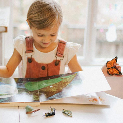 Safari Ltd Life Cycle of a Monarch Butterfly