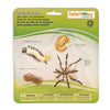 Safari Ltd Life Cycle Of A Mosquito