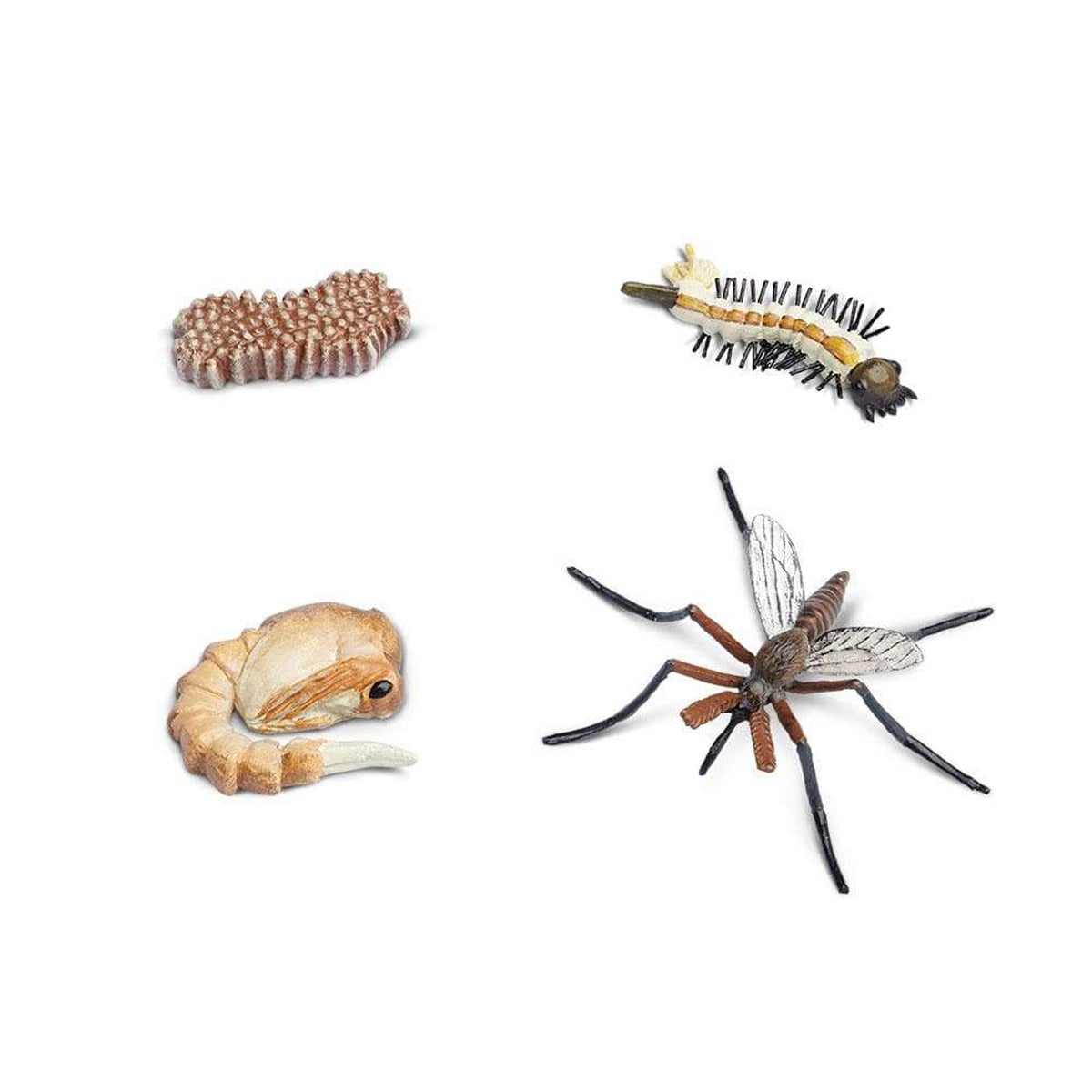 Safari Ltd Life Cycle Of A Mosquito