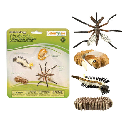 Safari Ltd Life Cycle Of A Mosquito