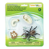Safari Ltd Life Cycle of a Stag Beetle