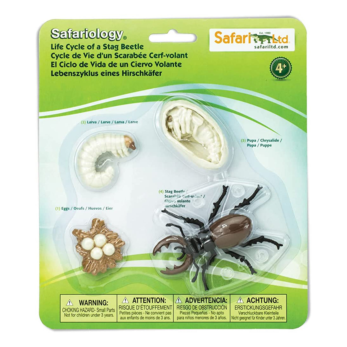 Safari Ltd Life Cycle of a Stag Beetle