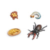 Safari Ltd Life Cycle of a Stag Beetle