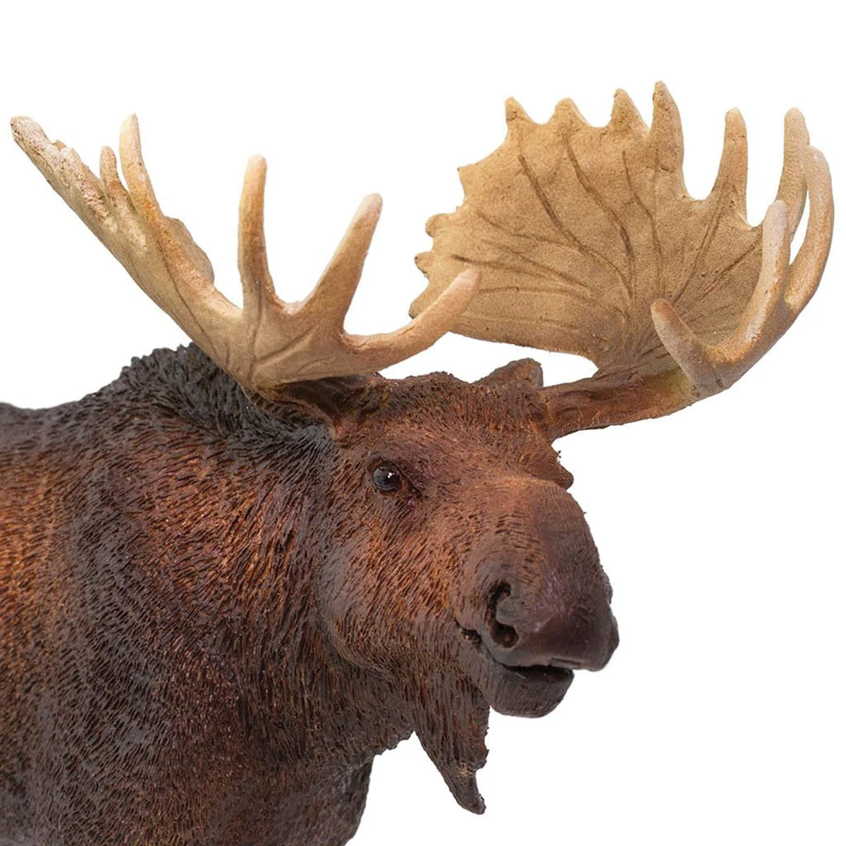 Safari Ltd Moose XL