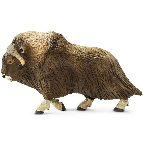 Safari Ltd Muskox