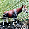 Safari Ltd Okapi Adult