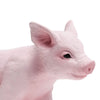 Safari Ltd Piglet XL