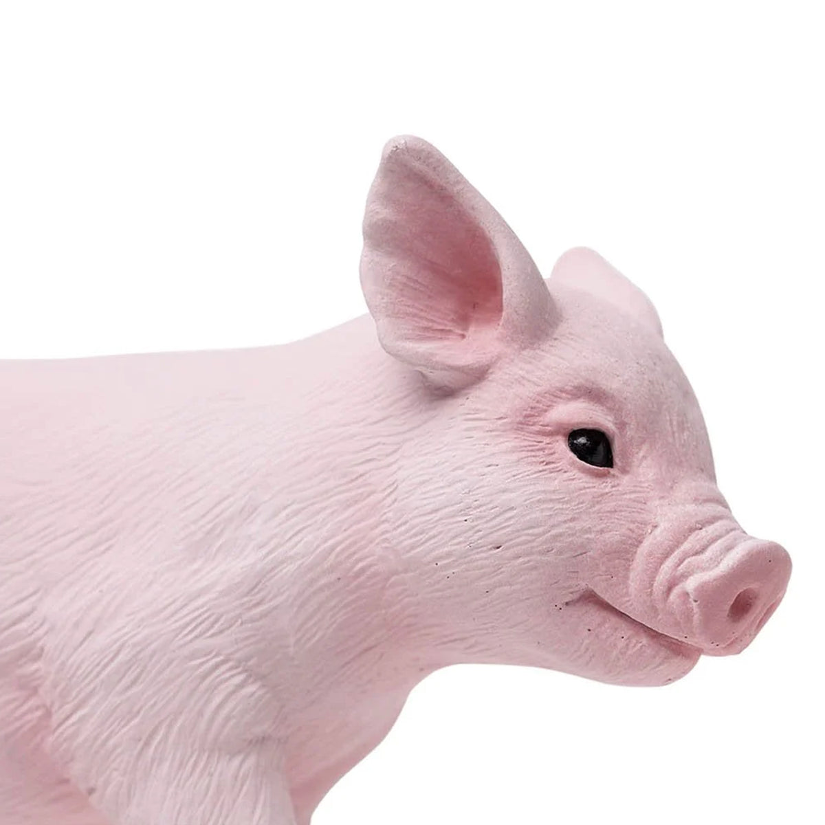 Safari Ltd Piglet XL