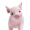 Safari Ltd Piglet XL