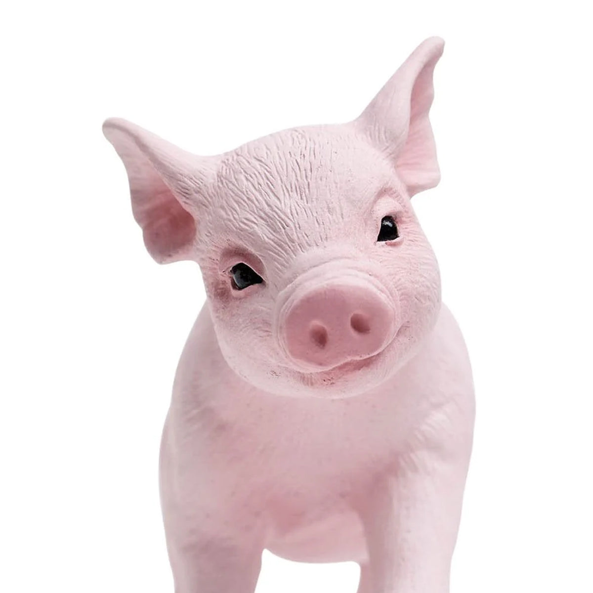 Safari Ltd Piglet XL