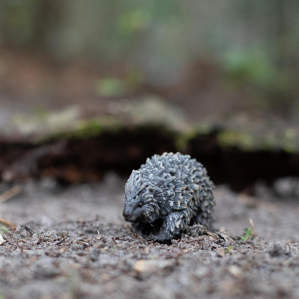 Safari Ltd Porcupine