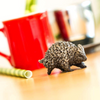 Safari Ltd Porcupine