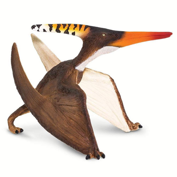 Safari Ltd Pteranodon