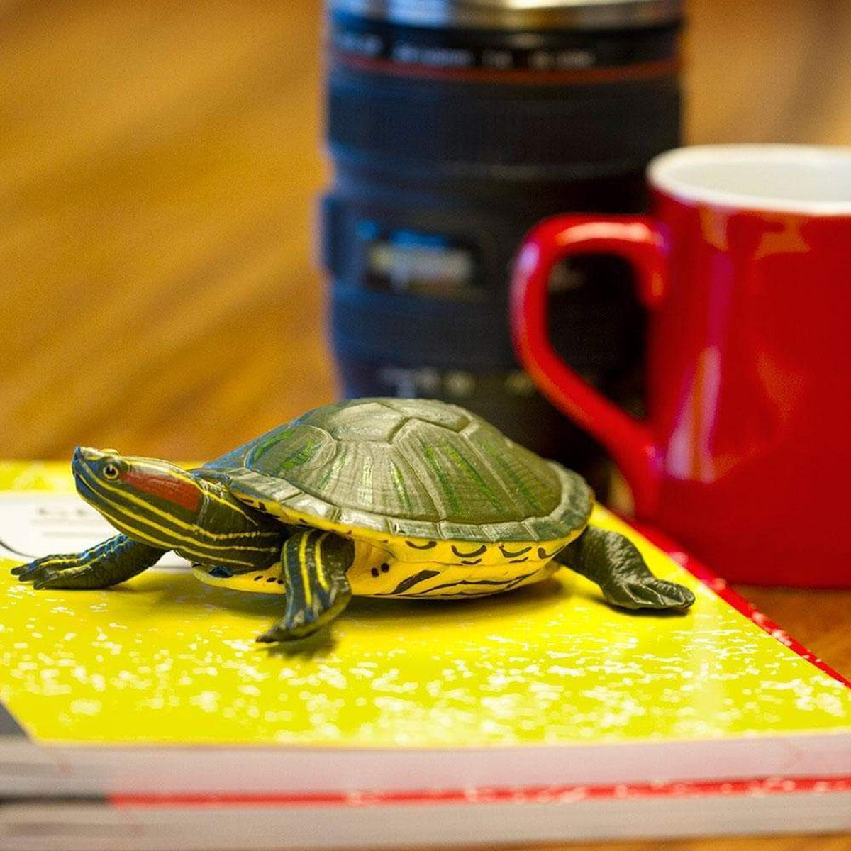 Safari Ltd Red-Eared Slider Turtle XL