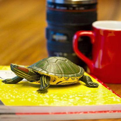 Safari Ltd Red-Eared Slider Turtle XL