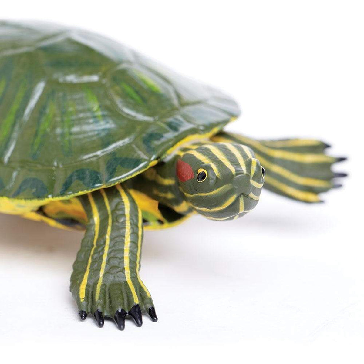 Safari Ltd Red-Eared Slider Turtle XL – Animal Kingdoms Toy Store