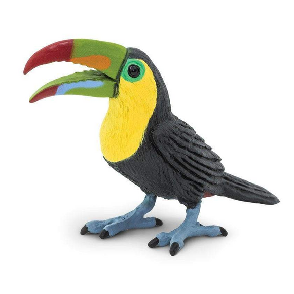 Safari Ltd Toucan