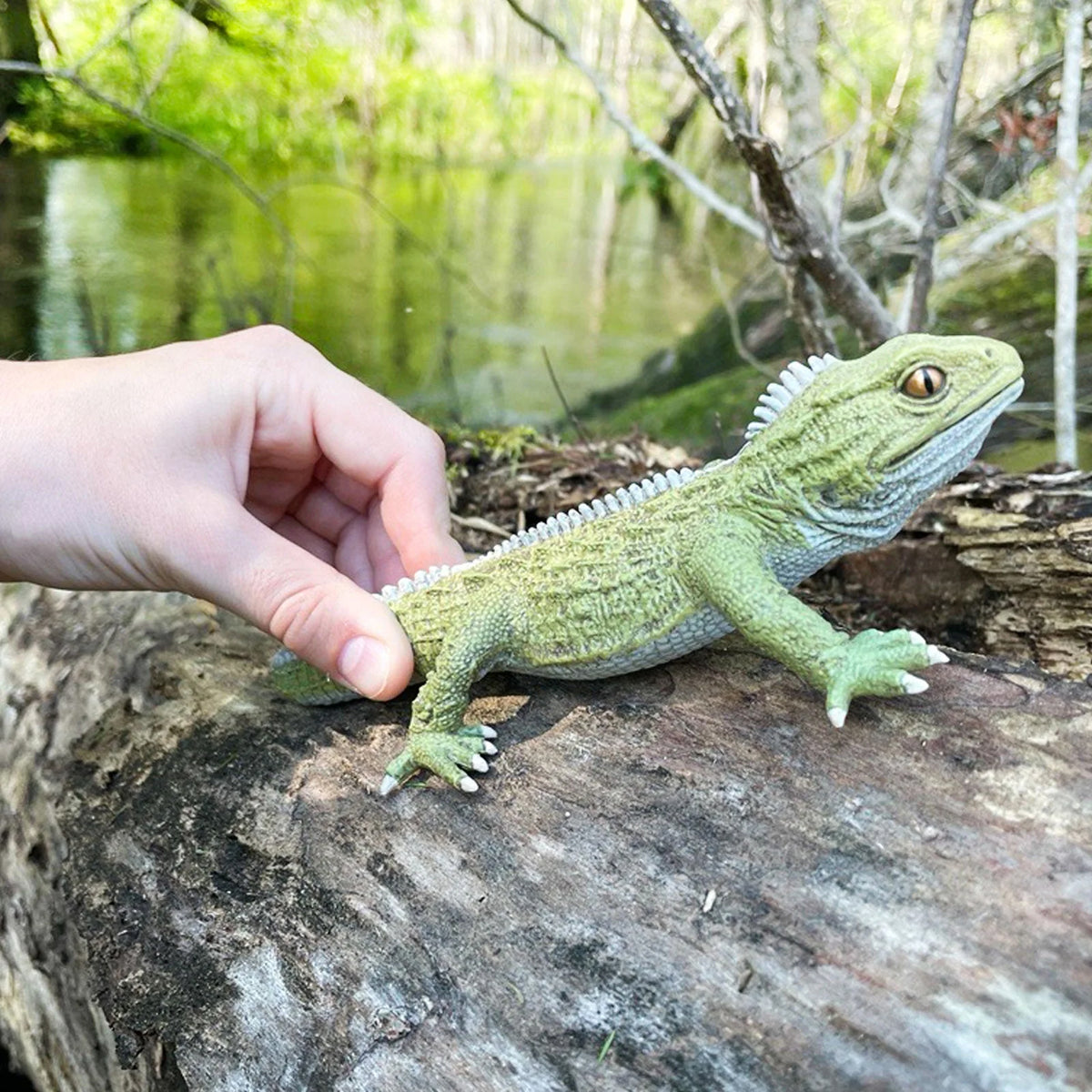 Safari Ltd Tuatara XL
