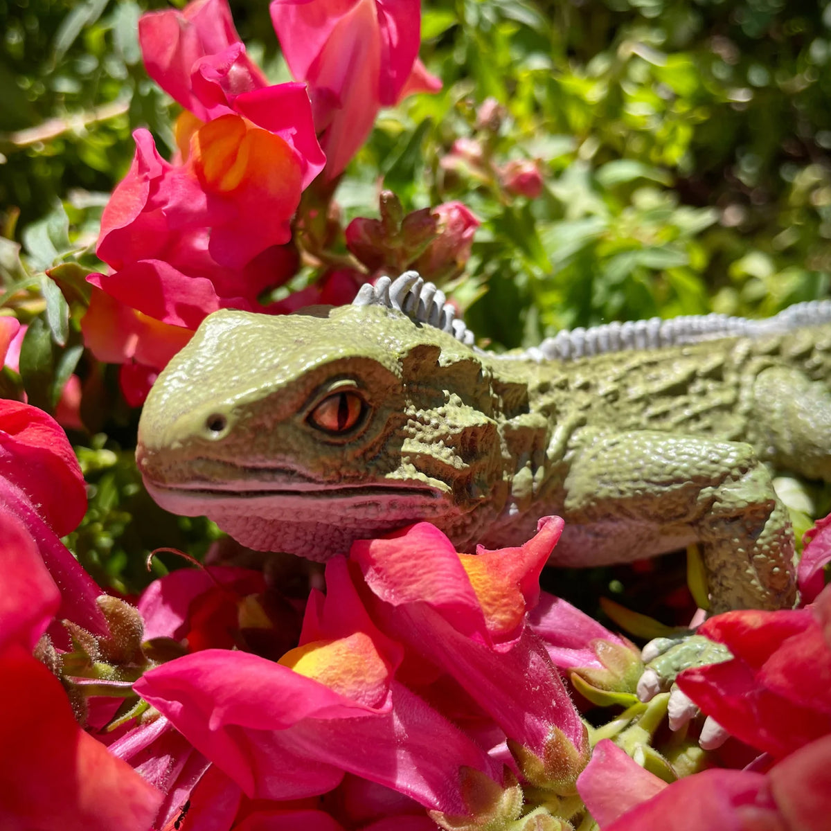Safari Ltd Tuatara XL