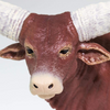 Safari Ltd Watusi Bull