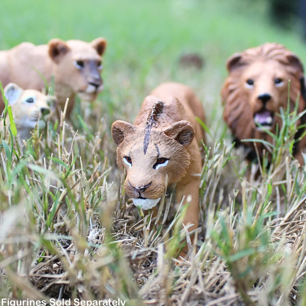 Safari Ltd Adolescent Male Lion
