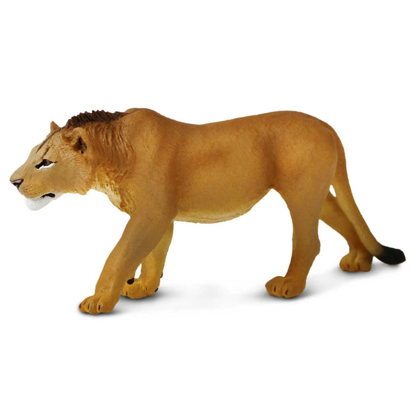 Safari Ltd Adolescent Male Lion
