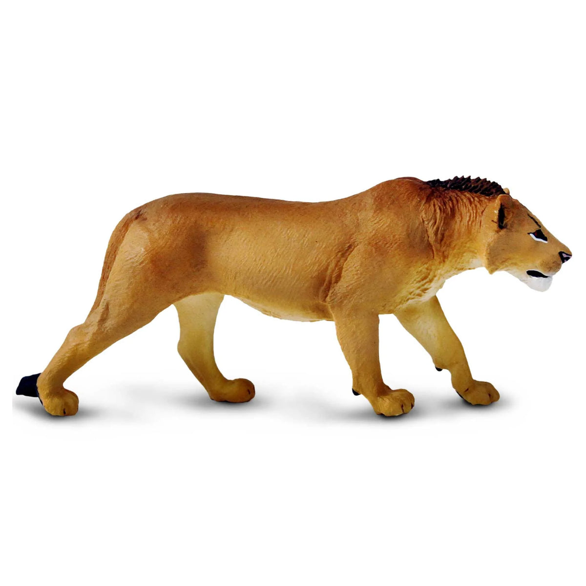 Safari Ltd Adolescent Male Lion