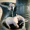 Safari Ltd African Elephant Baby