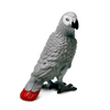 Safari Ltd African Grey Parrot