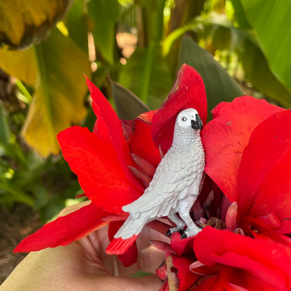 Safari Ltd African Grey Parrot