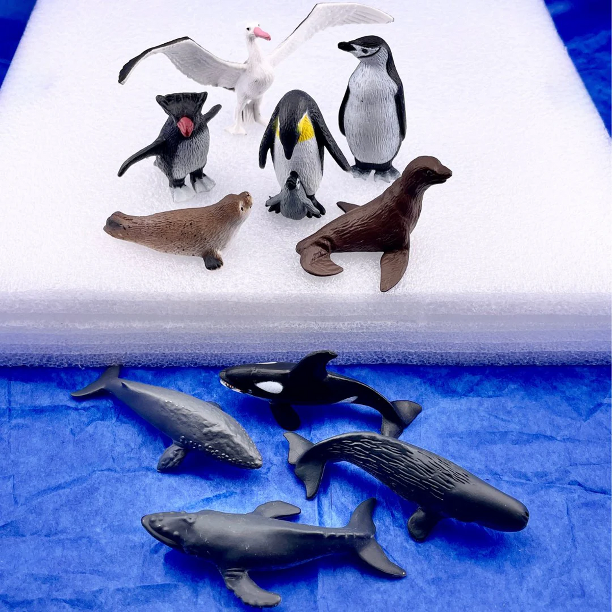 Safari Ltd Antarctica Toob