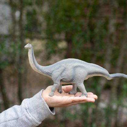 Safari Ltd Apatosaurus