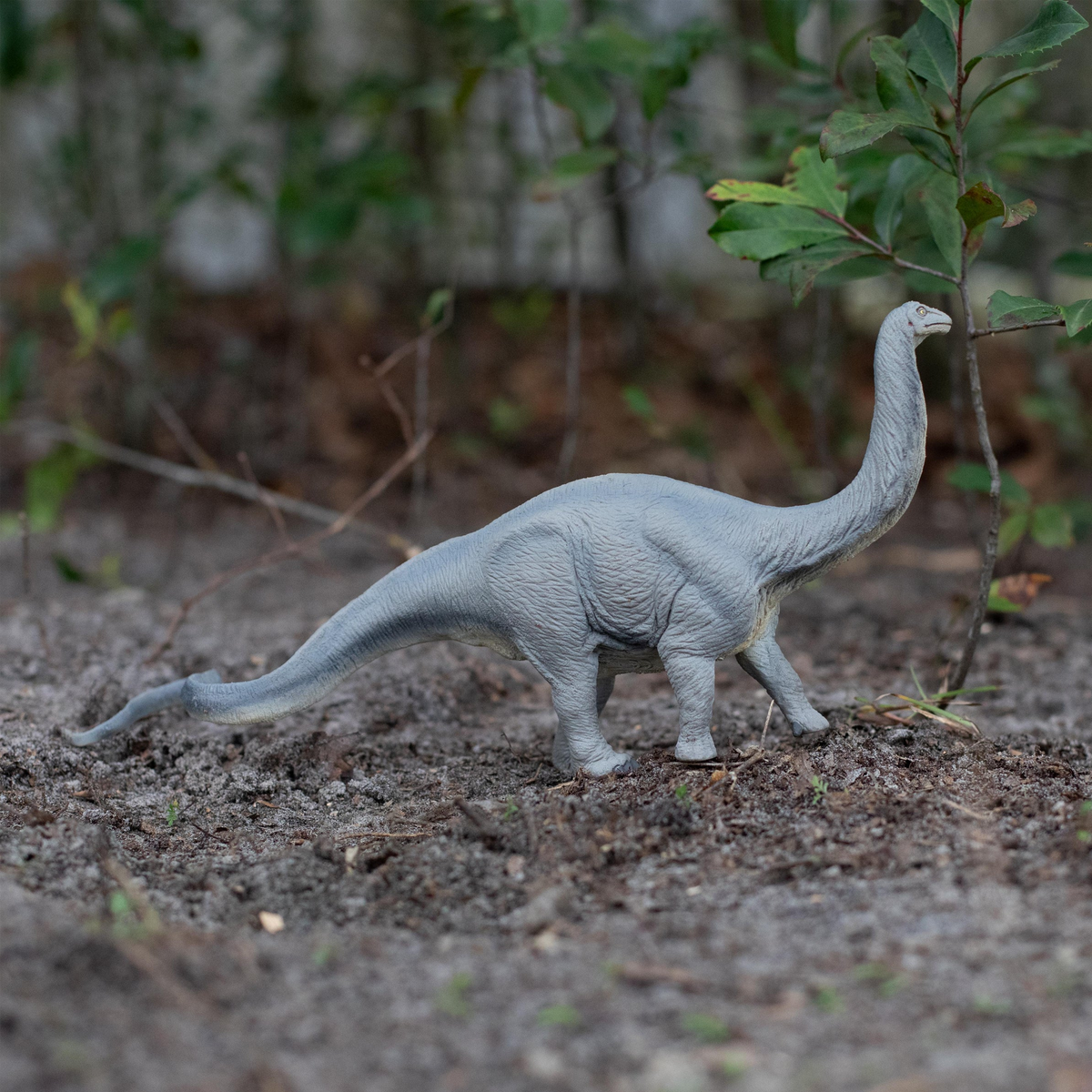 Safari Ltd Apatosaurus